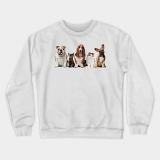 The Motley Crew Crewneck Sweatshirt